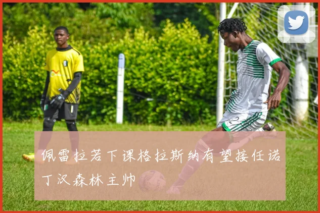 佩雷拉若下课格拉斯纳有望接任诺丁汉森林主帅